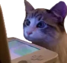 Watchingstream emoji