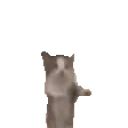 Catjump emoji