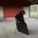 Black Dog Sit emoji