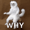 Why Nigga emoji