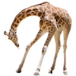 Bow Giraffe emoji