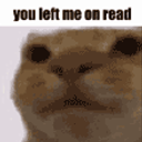 You Left Me On Read emoji