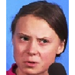 Gretathunberg emoji
