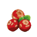 Cranberry Party emoji