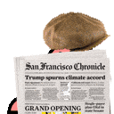 Spyparrot emoji