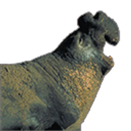 Elephant Seal emoji