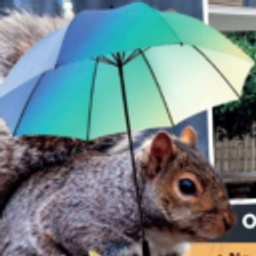 Umbrellasquirrel emoji