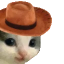 Meowdy emoji