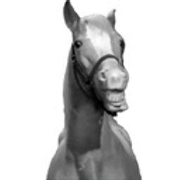 Mister Ed Horse emoji