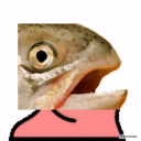 Salmon Parrot emoji