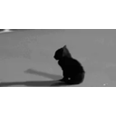 Sadkitty emoji