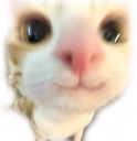 33 emoji