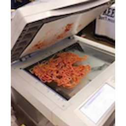 Printer Punk Spaghetti emoji