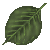 Alder Leaf emoji