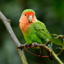 Buttparrot emoji