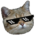 Glassescat21 emoji
