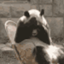 Sad Panda Meme emoji