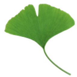 Ginkgo emoji