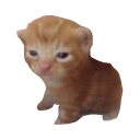 Robert emoji