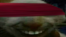 Qxdd emoji