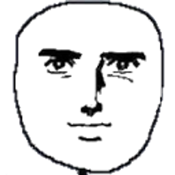 Lies On The Internet emoji