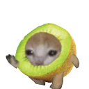 Kiwicatrun emoji