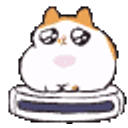 Cat Roomba Matrix Fast emoji