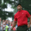 Tigerwoods emoji