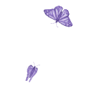 Butterfly Cute emoji