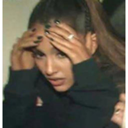 Wtf Ari emoji