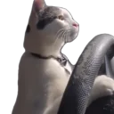 Catdriving emoji