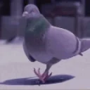 Taubepls emoji