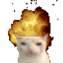 Mindblown Cat emoji