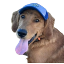 Petethegoldenboy emoji
