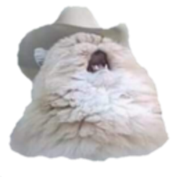 Cowboy Cat emoji