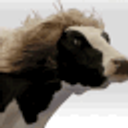 Majestic Beautiful Cow emoji