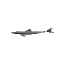 Spinshark emoji