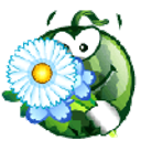 Watermelon Flower emoji