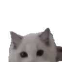 Cathello emoji
