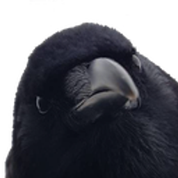 Birb Wut emoji