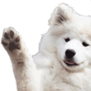 Hai Doge emoji