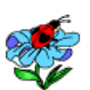 Ladybug Flower emoji
