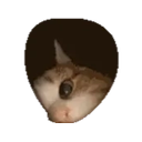 Whodis emoji