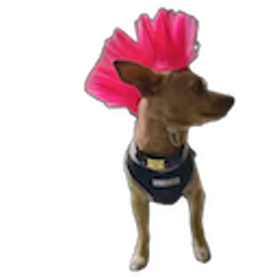Punk Pablo emoji