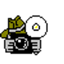Camera Flash emoji