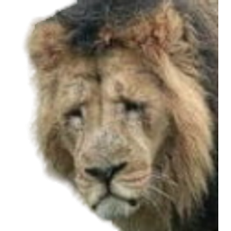 Lion Sad E emoji