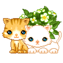 Kitties emoji