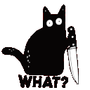9 What Cat emoji