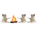 Catsittingverycomfortablearoundacampfirewithitsfriendswithmarshmallows emoji