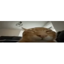 Buhflipexplode emoji
